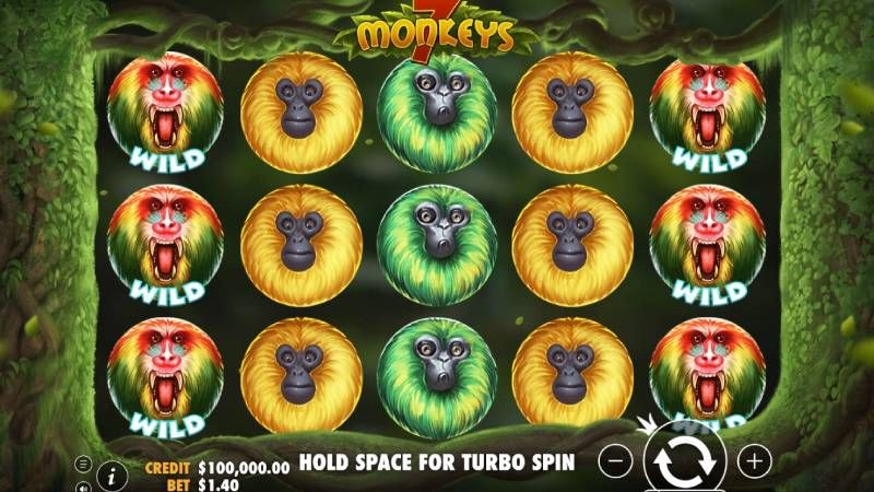 7 Monkeys