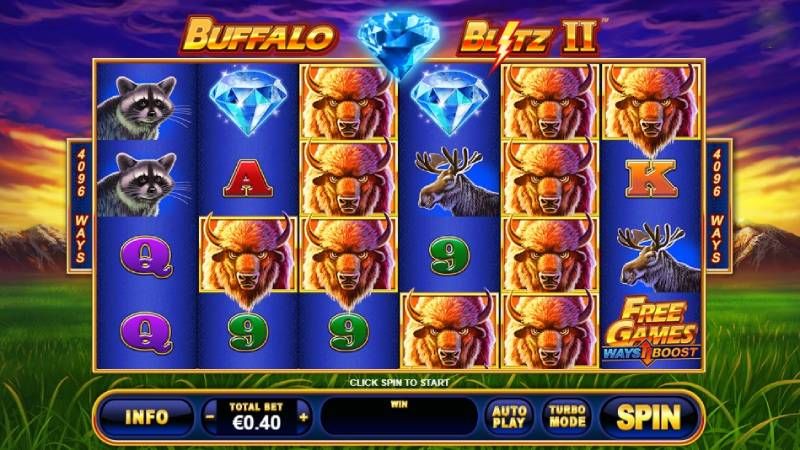 Buffalo Blitz II