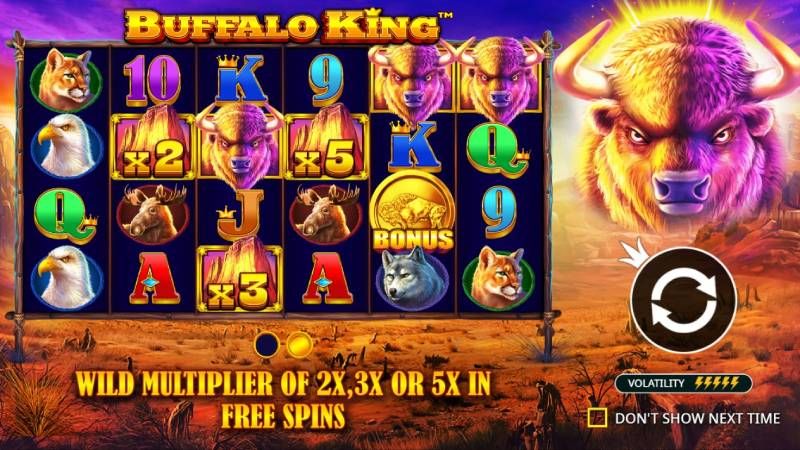 Buffalo King