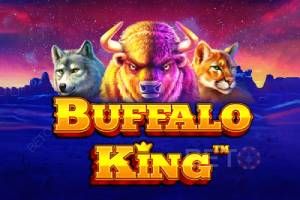 Buffalo King Slot