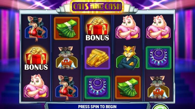 Cats & Cash