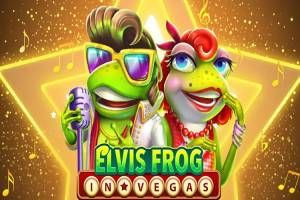 Elvis Frog in Vegas Slot