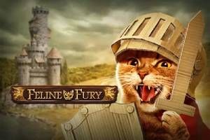 Feline Fury Slot