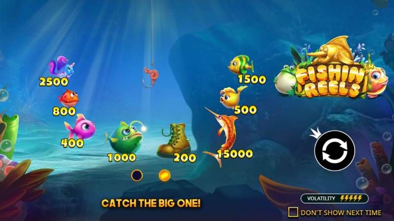 Fishin' Reels