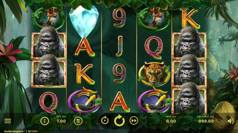 Gorilla Kingdom