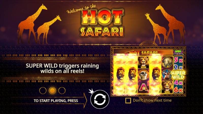 Hot Safari
