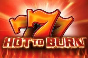 Hot to Burn Slot