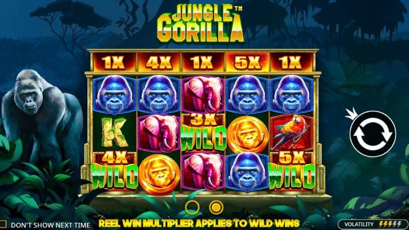 Jungle Gorilla