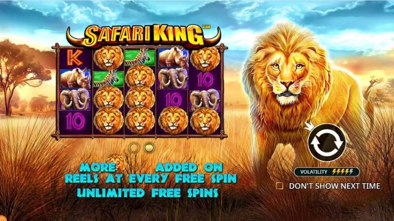 Safari King gameplay