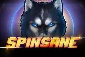 Spinsane Slot