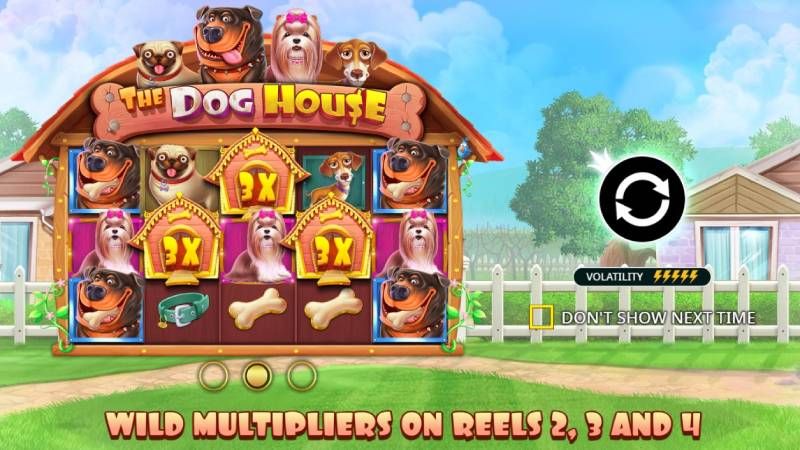 The Dog House