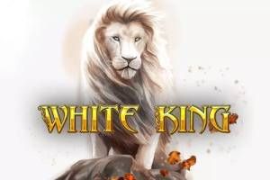 White King Slot