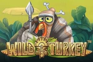 Wild Turkey Slot