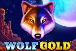 Wolf Gold Slot
